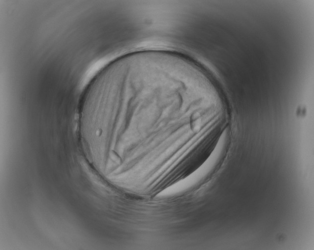 X0000111901461200908240950