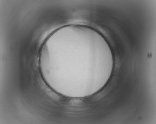 X0000111901462200908240950