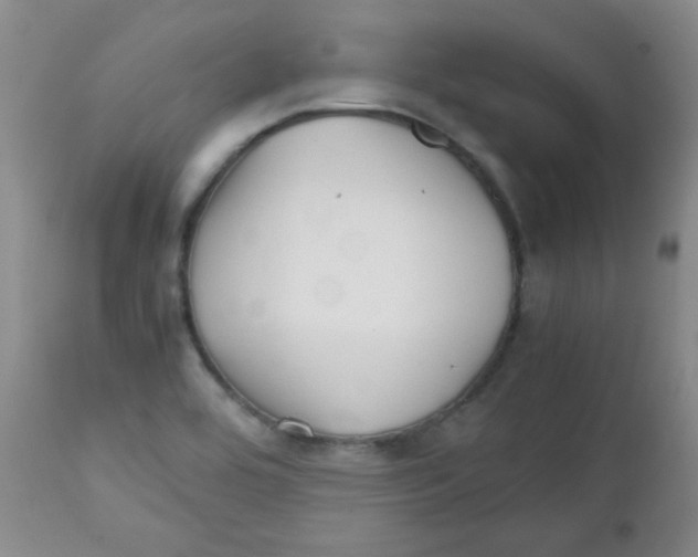 X0000111901464200908240950