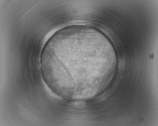 X0000111901466200908240950