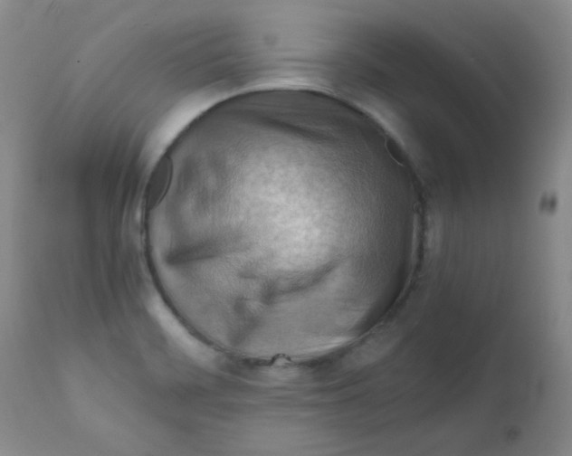 X0000111901468200908240950