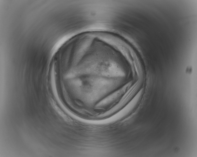 X0000111901469200908240950