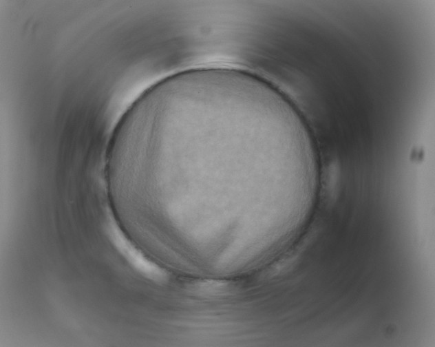 X0000111901470200908240950