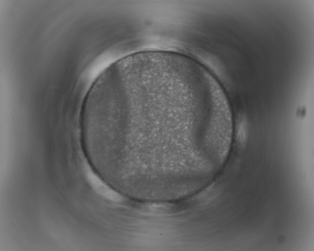 X0000111901471200908240950