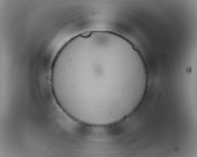 X0000111901472200908240950