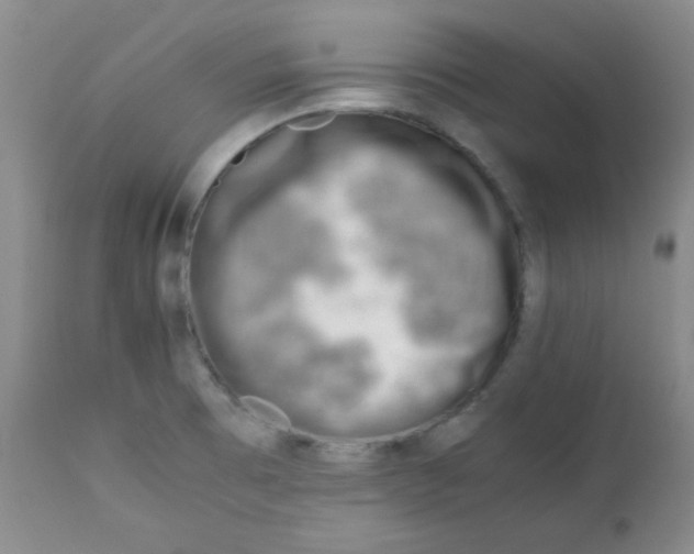 X0000111901473200908240950