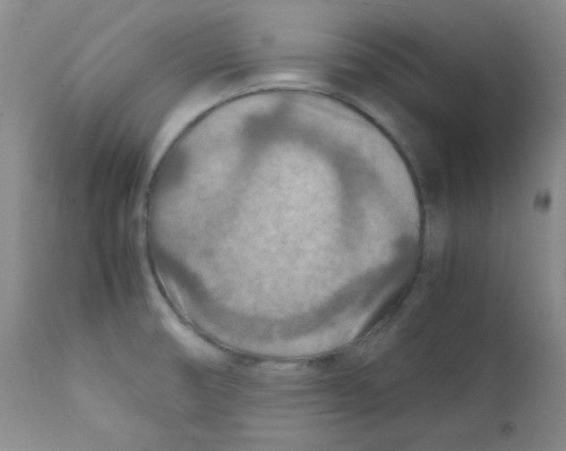 X0000111901474200908240950