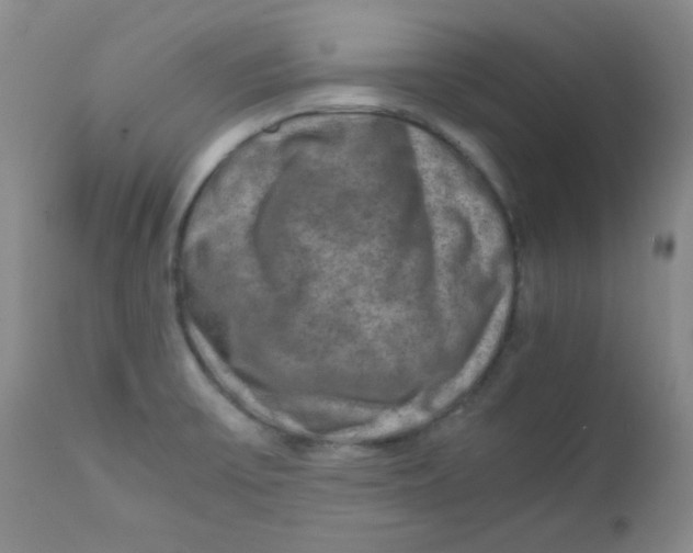 X0000111901475200908240950