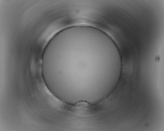 X0000111901476200908240950