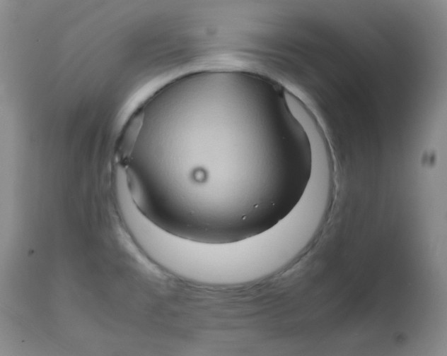 X0000111901477200908240950