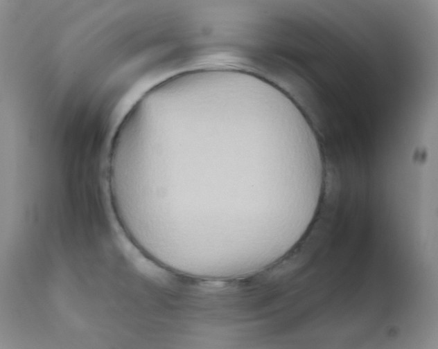 X0000111901478200908240950