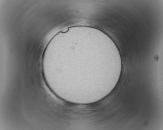 X0000111901479200908240950