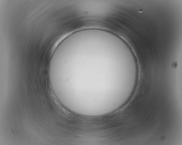 X0000111901481200908240950