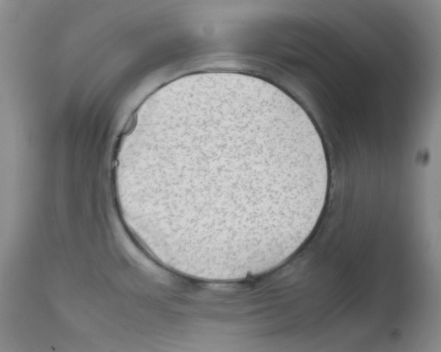 X0000111901483200908240950