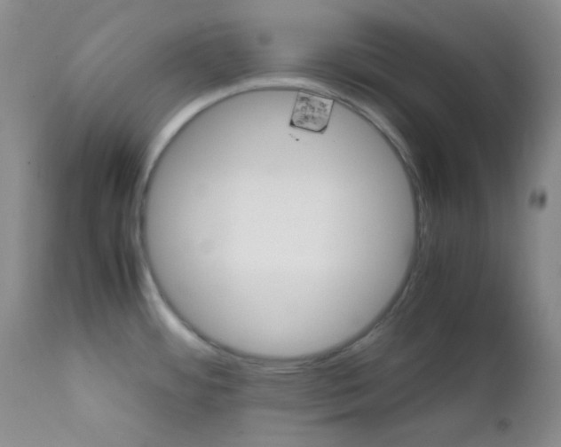 X0000111901484200908240950