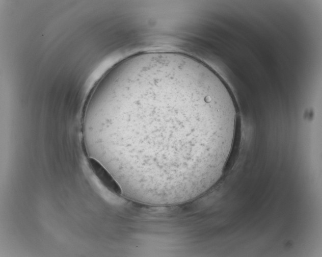 X0000111901485200908240950