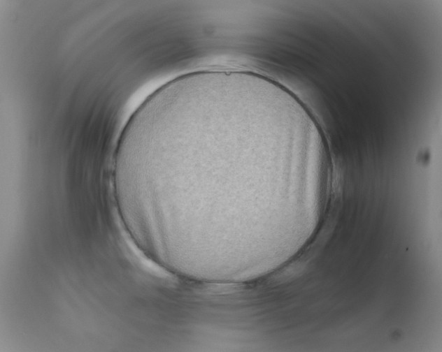 X0000111901486200908240950