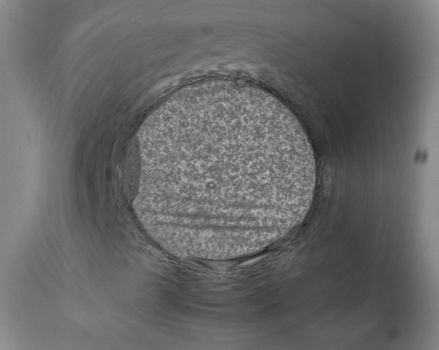 X0000111901489200908240949