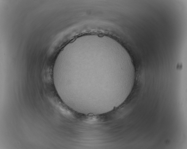 X0000111901490200908240949