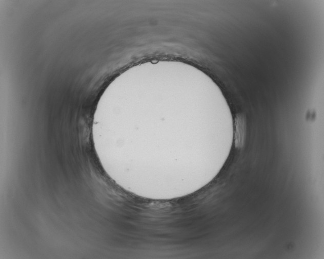 X0000111901491200908240949