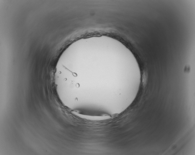 X0000111901492200908240949