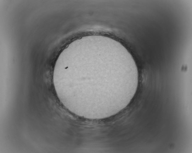 X0000111901493200908240949