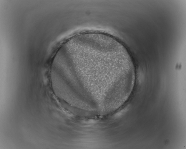 X0000111901494200908240949