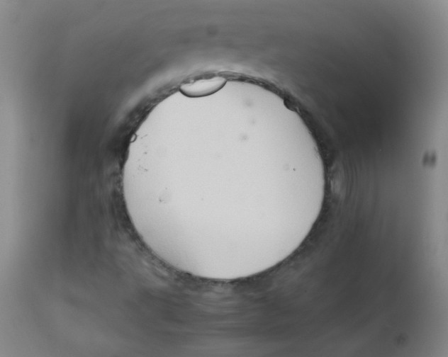 X0000111901495200908240949