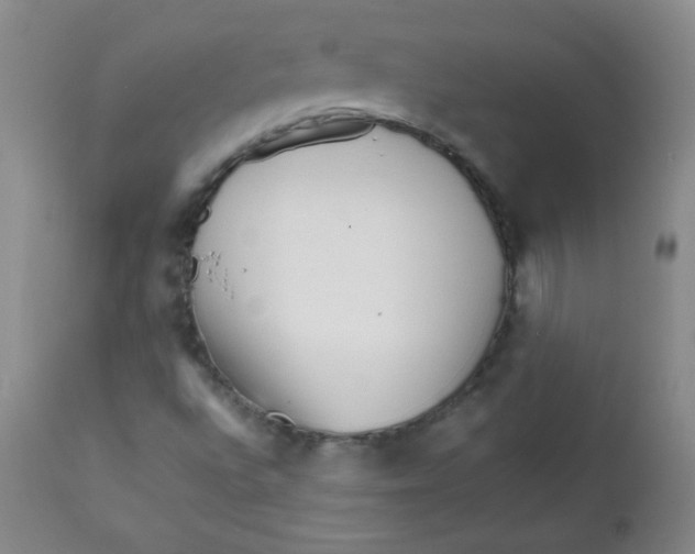 X0000111901496200908240949