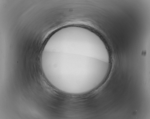 X0000111901497200908240949