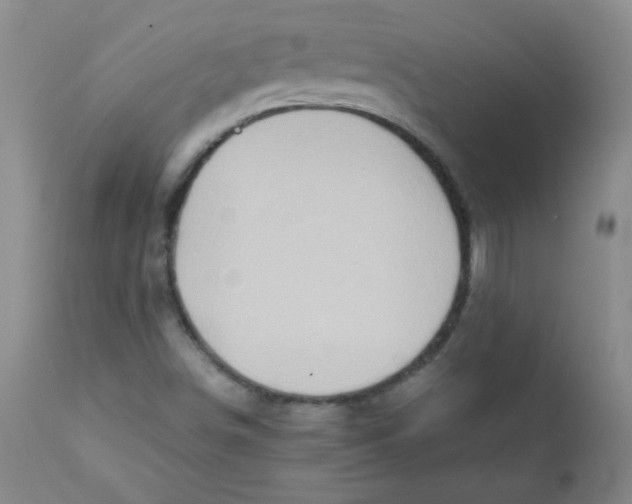 X0000111901498200908240949