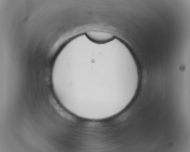 X0000111901499200908240949