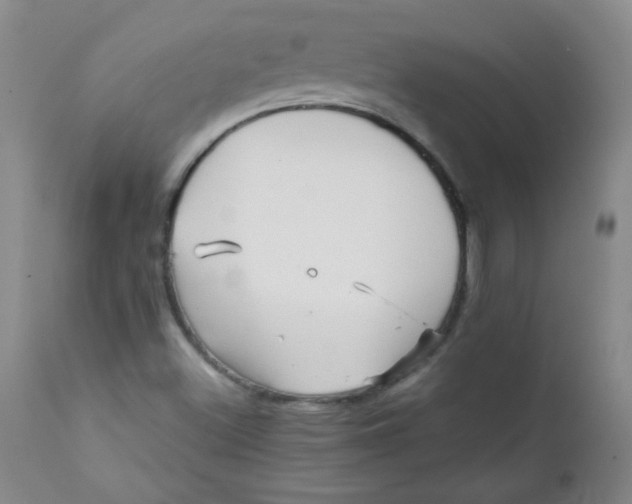 X0000111901500200908240949