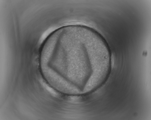 X0000111901501200908240949