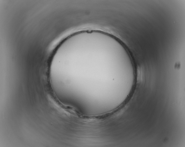 X0000111901502200908240949