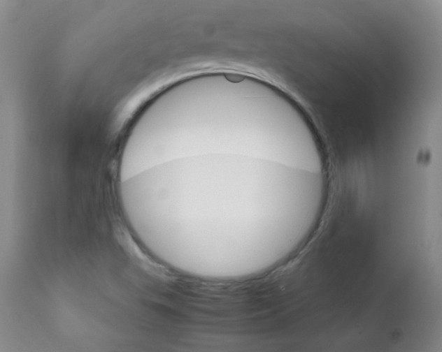 X0000111901503200908240949