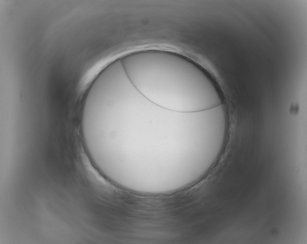 X0000111901504200908240949