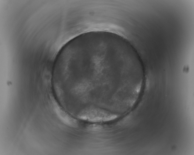 X0000111901505200908240949