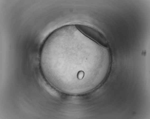 X0000111901506200908240949