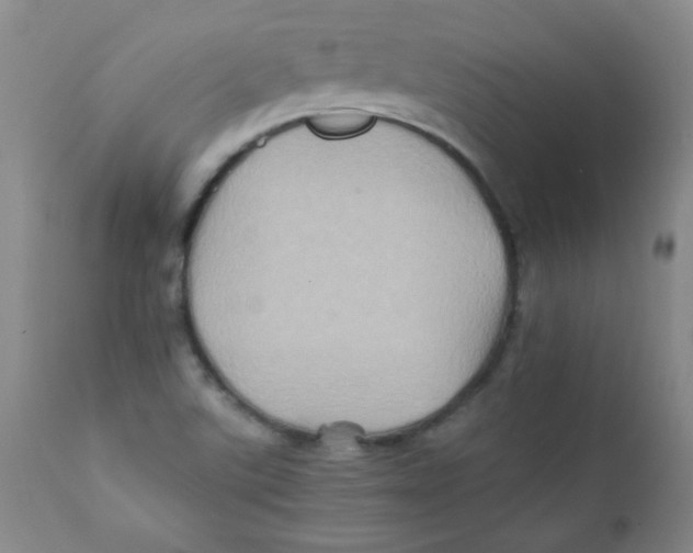 X0000111901507200908240949