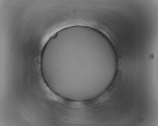 X0000111901508200908240949