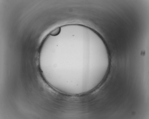 X0000111901510200908240949