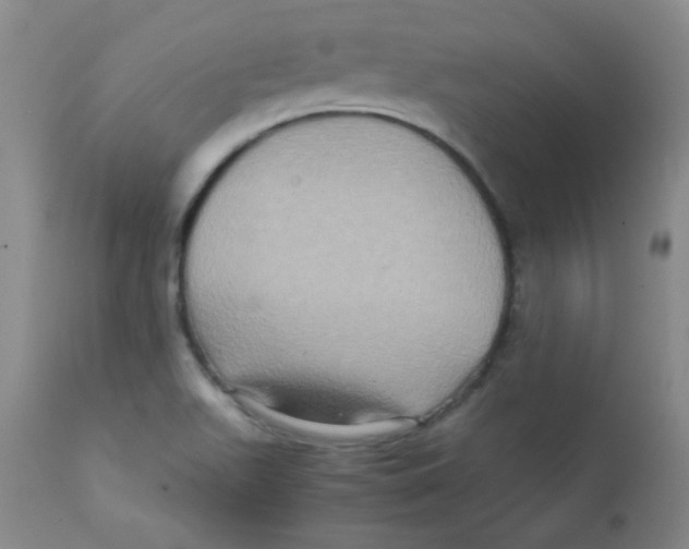 X0000111901511200908240949