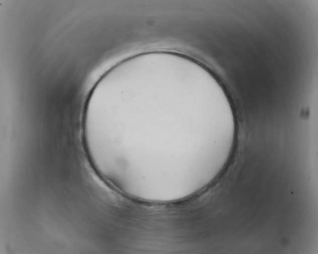 X0000111901512200908240949