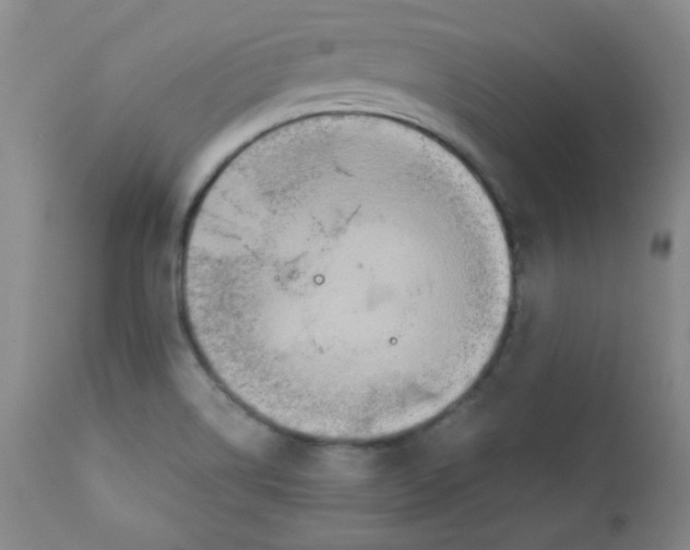 X0000111901514200908240949