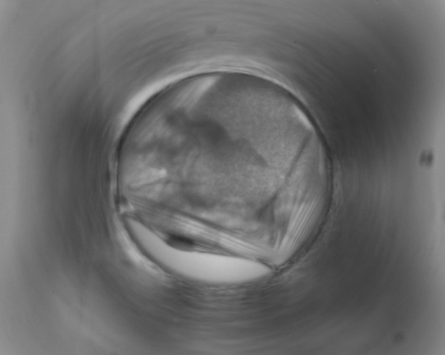 X0000111901515200908240949