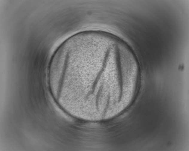 X0000111901517200908240949