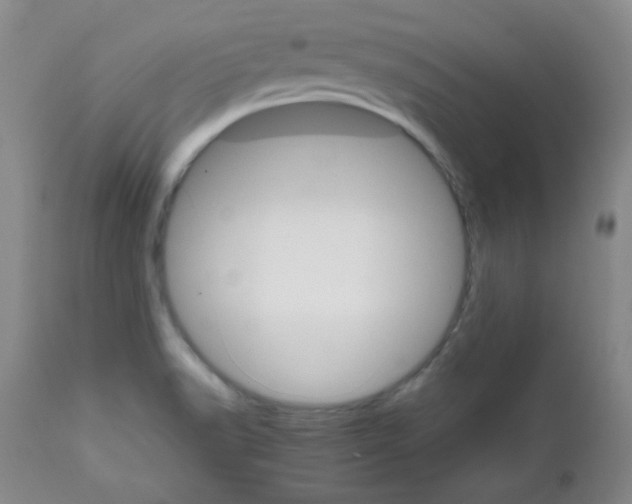 X0000111901518200908240949