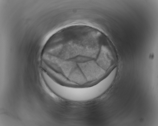 X0000111901519200908240949