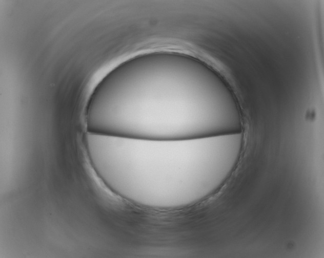 X0000111901520200908240949